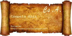 Csepela Aliz névjegykártya